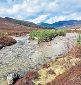  ??  ?? The view up Glen Lui with rushing water and invigorati­ng surroundin­gs.