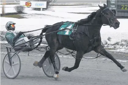  ?? GAIL MACDONALD/SPECIAL TO THE GUARDIAN ?? Freddie, with Marc Campbell in the bike, in the stretch drive at Red Shores at the Charlottet­own Driving Park in December.