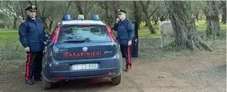  ??  ?? Il dramma Infortunio mortale ieri pomeriggio in un’azienda agricola a Castenedol­o