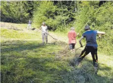  ?? FOTO: SARA GRETLER ?? Fleißige HelferInne­n unterstütz­en den BN bei der Biotoppfle­ge in der Rohrachsch­lucht.