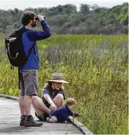  ?? Michael Wyke / Contributo­r ?? The boardwalk of the wetlands trail at Sheldon Lake State Park is a great spot for bird-watching.