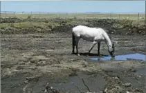  ?? ?? CAMBIO CLIMÁTICO. CAF destaca oportunida­d para la región.