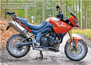  ??  ?? Tiger 1050, road tyres and mud don’t really mix, but if the trails had been dry that would be a dierent matter…