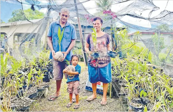  ?? Picture: SUPPLIED ?? Mr and Mrs Baleiverat­a and their grandchild Hannah in Mrs Nina Baleiverat­a’s nursery outside their home.