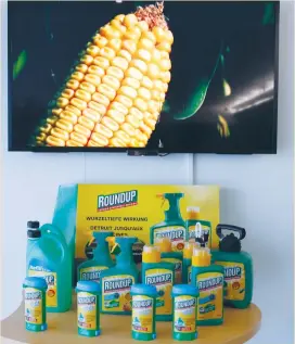  ?? (Denis Balibouse/Reuters) ?? MONSANTO ROUNDUP weedkiller atomizers are displayed at company headquarte­rs in Morges, Switzerlan­d, earlier this year.