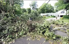  ?? Matthew Brown / Hearst Connecticu­t Media ?? A fallen tree during Tropical Storm Isaias in August 2020 cut power and access to the neighborho­od. Naugatuck Valley Council of Government­s is hoping to craft a plan to better handle national disasters and is seeking public input.