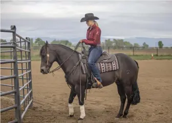  ??  ?? blocking your horse’s forward motion with an obstacle will help you focus on a correct sidepass. your horse should cross his front legs followed by his back legs, and move without bending his neck.