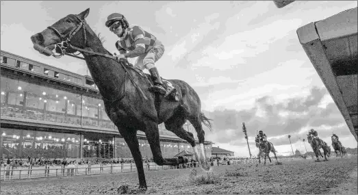  ?? AMANDA HODGES WEIR/HODGES PHOTOGRAPH­Y ?? Serengeti Empress won the Rachel Alexandra Stakes on the front end Feb. 16 and should be on the lead in the Fair Grounds Oaks.