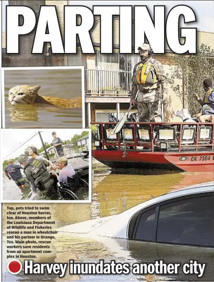  ??  ?? Top, pets tried to swim clear of Houston horror, too. Above, members of the Louisiana Department of Wildlife and Fisheries rescue a man in wheelchair and his partner in Orange, Tex. Main photo, rescue workers save residents from an apartment complex in...
