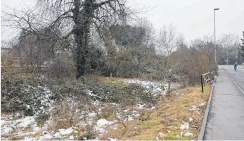  ?? FOTO: BRIGITTE WALTERS ?? Noch herrscht Wildnis auf der Fläche neben dem Bahnhof. Demnächst will die Stadt hier weitere Parkplätze für die Dauerparke­r aus der Innenstadt schaffen.