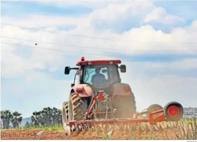  ?? ARCHIVO ?? Un agricultor realiza labores de siembra en las inmediacio­nes de Jerez.