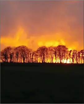  ??  ?? Sunset in Galbally by Sarah Sinnott.