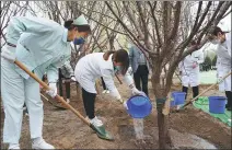  ?? JU HUANZONG / XINHUA XINHUA ?? Medical workers from Dongcheng district plant trees at a park in Beijing in April last year.