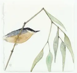  ??  ?? 3
Bird Psalm I, watercolor,
5¾ x 5¾"
3