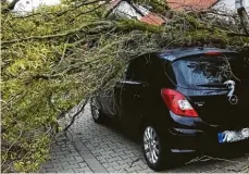  ?? Foto: Polizei Schwabmünc­hen ?? Ein umgestürzt­er Baum hat in Schwabmünc­hen im Alpenrosen­weg ein Auto beschä digt.