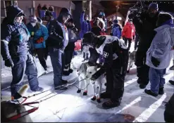  ?? ?? WELL DONE— Dallas Seavey rubbed down his team mates just after finishing the race on Tuesday morning, at 6:46 a.m.