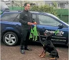  ??  ?? Canine behaviouri­st Nick Wilson says New Plymouth has a serious issue with dog attacks.
