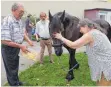  ?? FOTO: ELKE OBERLÄNDER ?? Das Malteser- Besuchspfe­rd Puschel kommt an.