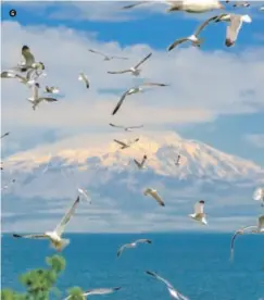  ??  ?? 6 Van Gölü’nün kuzey kıyısında yer alan Süphan Dağı’nın zirvesi ihtişamı ile göz kamaştırıy­or.
Located to the north of Lake Van, the peak of Mount Süphan dazzles with its glory.
