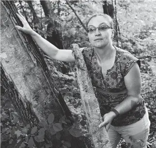  ?? JAMES PARK ?? Dr. Krista Ryall, senior research scientist with the Canadian Forest Service, examines a local tree affected by emerald ash borers.