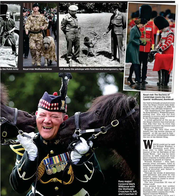  ??  ?? VIP: Bobby the antelope with Field Marshal Montgomery, right Royal visit: The Duchess of Cambridge meets the Irish Guards’ wolfhound, Domhnall