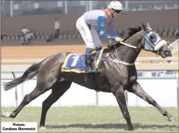  ??  ?? Picture: Candiese Marnewick
Racing in blinkers for the first time, Minaloushe Venture shed his maiden in good style and can follow up in the sixth at Greyville this afternoon. Brandon Lerena rides for Dennis Bosch.