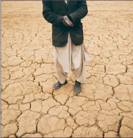  ?? ?? Abdul Haqim surveys Dec. 13 his barren field, where he used to grow wheat to feed his family of 18 people, in Hachka, Afghanista­n.