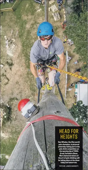  ??  ?? Dan Whelan, the 25m world pole champion, is pictured yesterday taking part in the pole climb competitio­n on the opening day of 160th Great Yorkshire Show. More demonstrat­ions of the art of pole climbing will be taking place at the show today and...