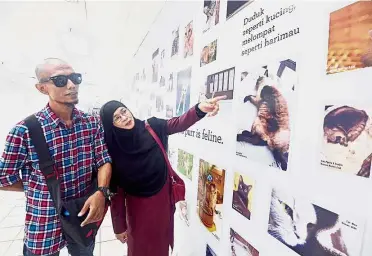  ??  ?? Picture-purrfect: Sauyah and her son Muhammad Saiful admiring the cat photos plastered along a tunnel at the Masjid Jamek LRT station.