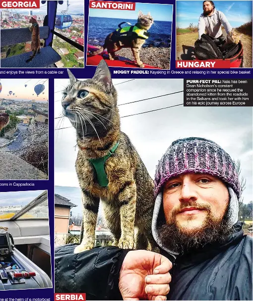  ??  ?? MOggy PADDLE: Kayaking in Greece and relaxing in her special bike basket PURR-FECT PAL:
Nala has been Dean Nicholson’s constant companion since he rescued the abandoned kitten from the roadside in the Balkans and took her with him on his epic journey across Europe