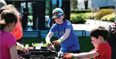  ??  ?? Plans are under way for a community garden to be establishe­d on land at Yr Egin, in Carmarthen.