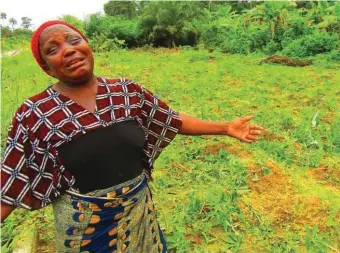  ??  ?? A farmer weeping after her cassava farm was destroyed by cows