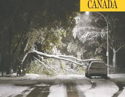  ?? /JOHN WOODS/ THE CANADIAN PRESS ?? After the weekend’s “unpreceden­ted” storm, Manitoba Hydro is working to rebuild vast stretches of the power grid in the province, warning it
could take four days to restore full power to Winnipeg and 10 days to restore power to hard hit parts of the province outside the city.