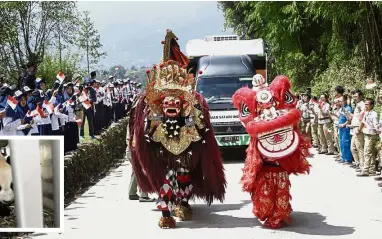  ??  ?? A dragon dance is performed as pandas Cai Tao (inset) and Hu Chun are ferried to their new home at Taman Safari in Bogor, West Java. — AP Red carpet treatment: