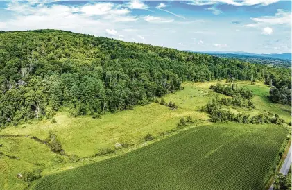  ?? Photo courtesy Elyse Harney Real Estate ?? A tract of land in Salisbury sold in March 2024 as part of a larger set of parcels totaling some 1,100 acres in Salisbury and Sheffield, Mass.