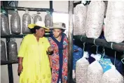  ?? ?? First Lady Dr Auxillia Mnangagwa shows Batswana First Lady Mrs Neo Jane Masisi mushrooms being produced by an Agric4She beneficiar­y Gogo Getrude Mberi at her house in Waterfalls on Wednesday