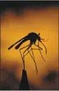  ?? Bob Chamberlin L.A. Times ?? WEST NILE virus, spread by mosquitoes, has taken over 300 lives in California since 2003.