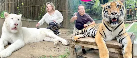  ?? ?? ● El titular de De Primera Mano y su hija con unos magníficos ejemplares de tigres