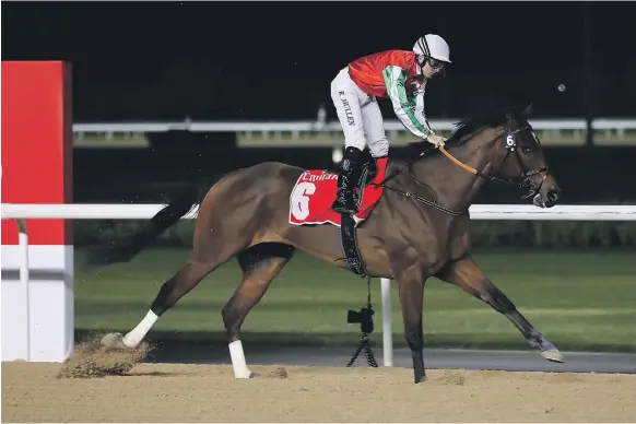  ?? Pawan Singh / The National ?? North America has constantly improved and may be a race contender on Dubai World Cup night at the Meydan Racecourse this Saturday