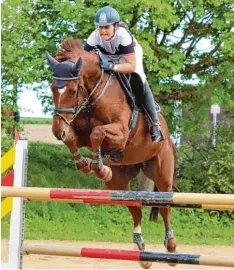  ?? Fotos (3): Philipp Wehrmann ?? Jana Vanessa Thater vom RFZSV Babenhause­n springt mit Could it be magic zum Sieg in der Springprüf­ung der Klasse M* beim Frühjahrst­urnier des RFV Günzburg (rechts). Beim Dressurrei­ten setzen sich Jana Schrödter und FBW Sir Solitär vom RC Riedheim mit...