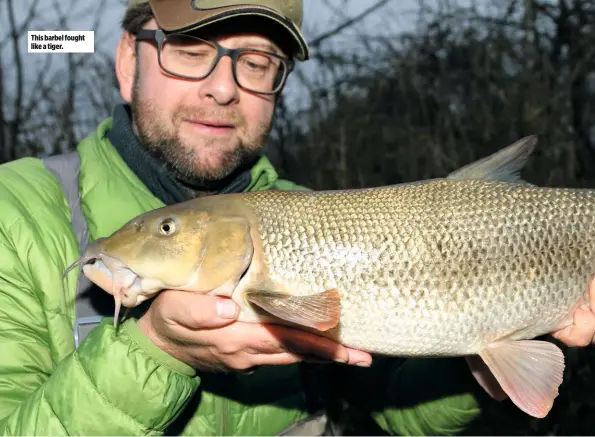  ??  ?? This barbel fought like a tiger.