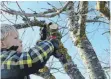  ?? ARCHIVFOTO: IGNAZ STÖSSER ?? Auf der Streuobstw­iese kommen Kinder der natur nahe.