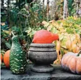  ??  ?? This undated photo provided by Martha Stewart Living shows an urn surrounded by some pumpkins, giving it a Halloween theme.