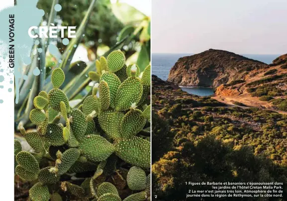  ?? ?? 1 Figues de Barbarie et bananiers s’épanouisse­nt dans
les jardins de l’hôtel Cretan Malia Park. 2 La mer n’est jamais très loin. Atmosphère de fin de journée dans la région de Réthymon, sur la côte nord.