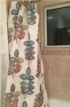  ??  ?? The shower curtain is a fabulous choice and has many colours we could pull from, including varying hues of brown, eggplant, blue, green and khaki.