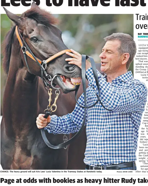  ?? Picture: DAVID CAIRD ?? CHANCE: The heavy ground will suit Kris Lees’ Lucia Valentina in the Tramway Stakes at Randwick today.