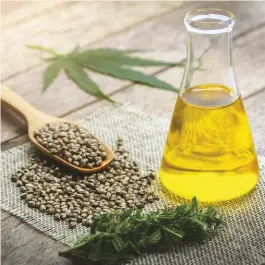  ??  ?? CBD can be extracted from the flowers, stems and leaves of the cannibis plant, but not the seeds or roots. Pellets, powders and oils are popular forms of the product for purchase.
