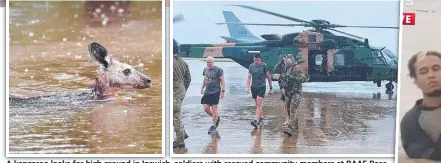  ?? ?? A kangaroo looks for high ground in Ipswich; soldiers with rescued community members at RAAF Base Amberley, near Ipswich; and, a man is rescued at Grantham. Pictures: John Gass, ADF, 7 NEWS Brisbane