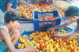  ?? HT PHOTO ?? Farmers say they are forced to sell their produce in Delhi at ₹3 to ₹4 per kg as the region lacks proper local markets.