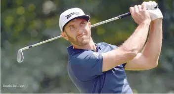  ??  ?? Dustin Johnson